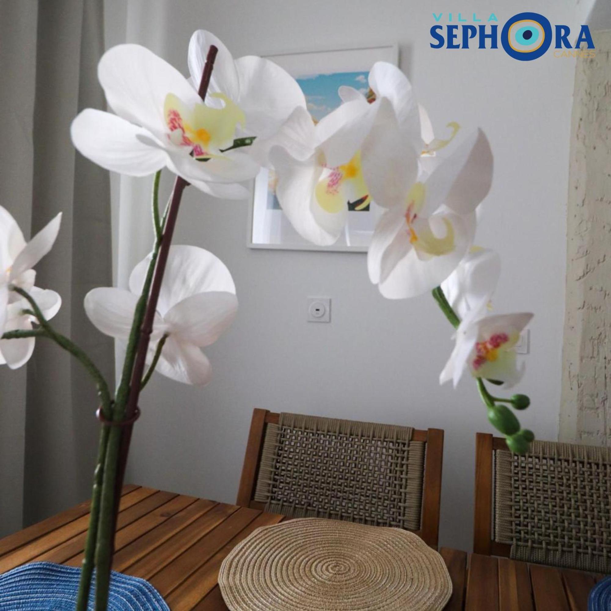 Villa Sephora 戛纳 外观 照片
