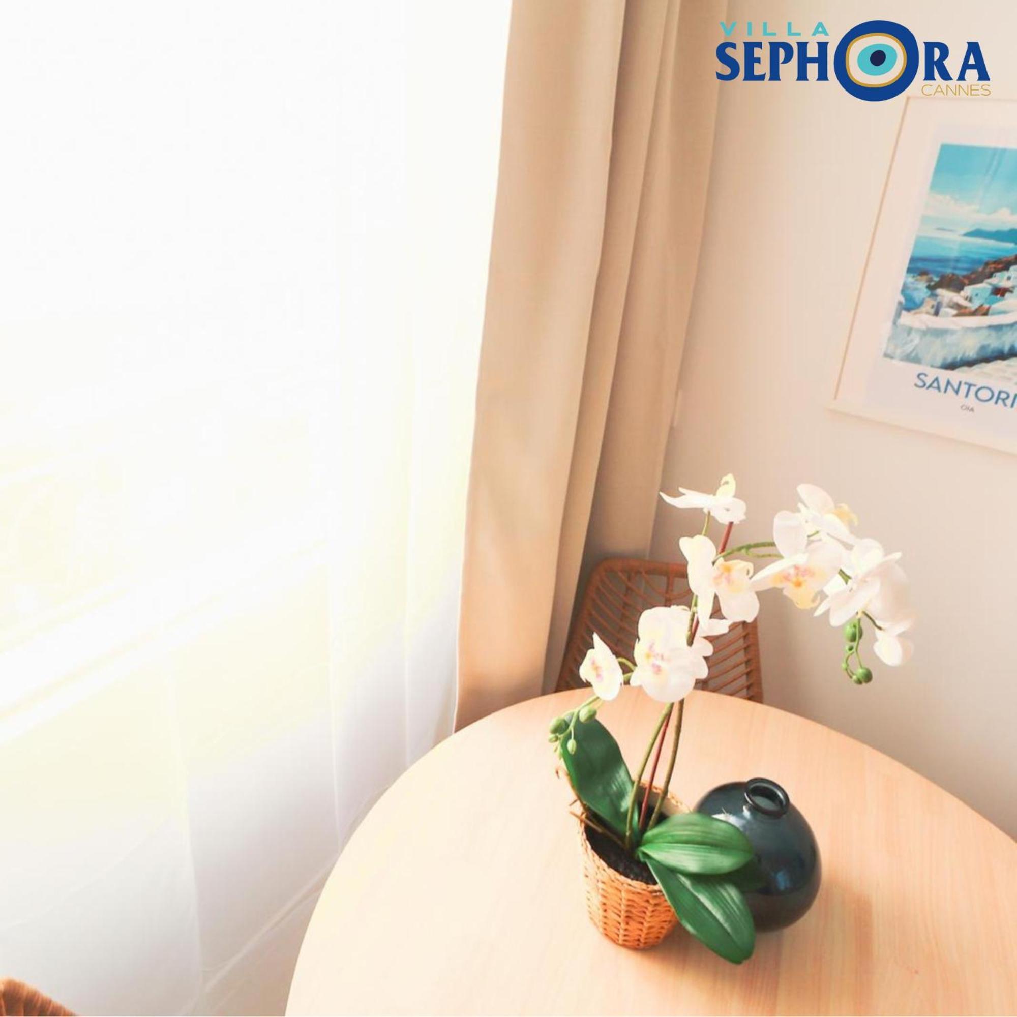 Villa Sephora 戛纳 外观 照片